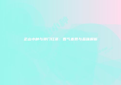 正山小种与祁门红茶：香气差异与品味解析