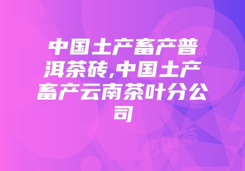 中国土产畜产普洱茶砖,中国土产畜产云南茶叶分公司