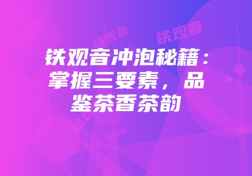 铁观音冲泡秘籍：掌握三要素，品鉴茶香茶韵