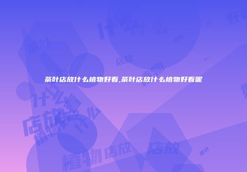 茶叶店放什么植物好看,茶叶店放什么植物好看呢