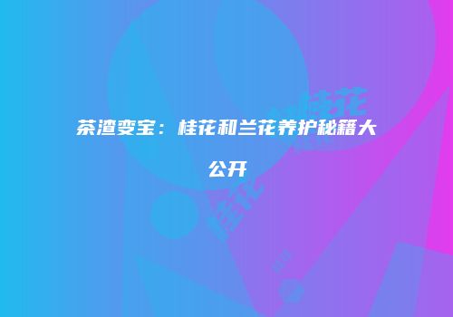 茶渣变宝：桂花和兰花养护秘籍大公开