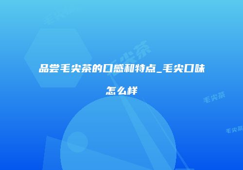 品尝毛尖茶的口感和特点_毛尖口味怎么样
