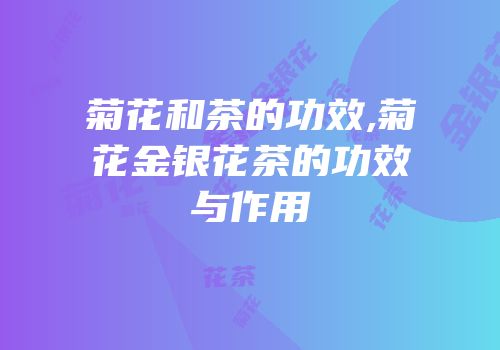 菊花和茶的功效,菊花金银花茶的功效与作用