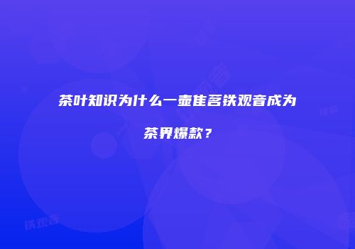 茶叶知识为什么一壶隹茗铁观音成为茶界爆款？