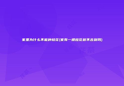 家里为什么不能种桂花(家有一棵桂花树不吉利吗)