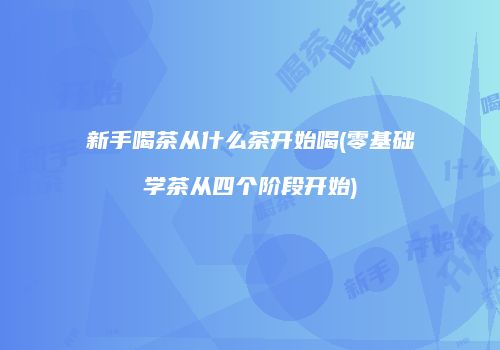 新手喝茶从什么茶开始喝(零基础学茶从四个阶段开始)