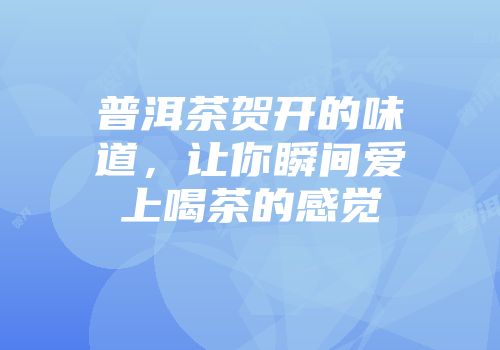 普洱茶贺开的味道，让你瞬间爱上喝茶的感觉