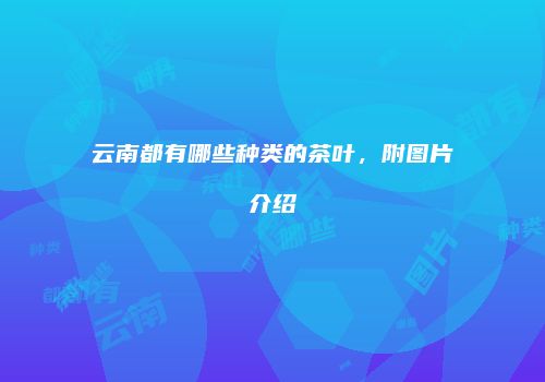 云南都有哪些种类的茶叶，附图片介绍
