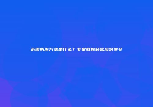 茶园防冻方法是什么？专家教你轻松应对寒冬