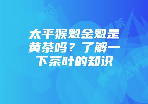 太平猴魁金魁是黄茶吗？了解一下茶叶的知识