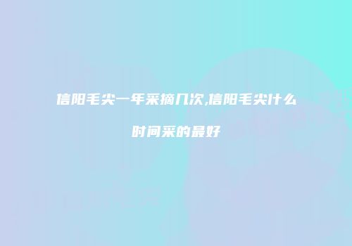 信阳毛尖一年采摘几次,信阳毛尖什么时间采的最好