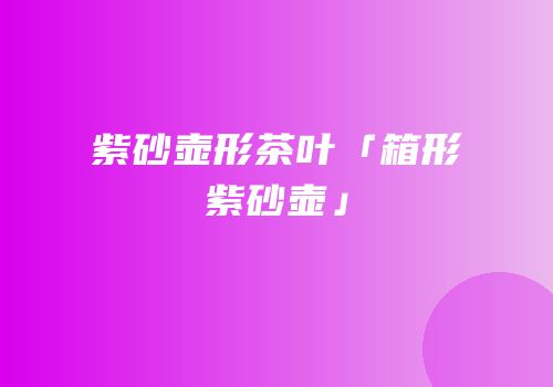 紫砂壶形茶叶「箱形紫砂壶」
