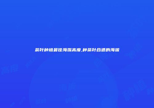 茶叶种植最佳海拨高度,种茶叶合适的海拔