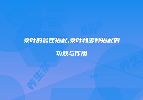 桑叶的最佳搭配,桑叶和哪种搭配的功效与作用
