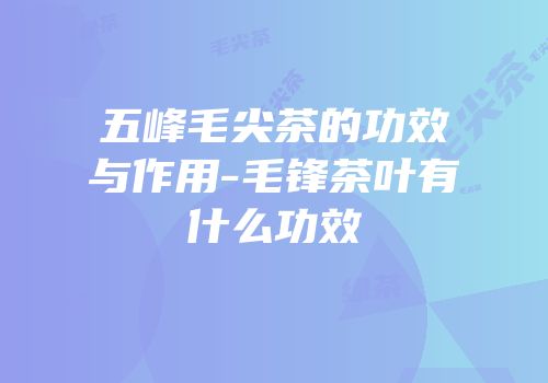 五峰毛尖茶的功效与作用-毛锋茶叶有什么功效