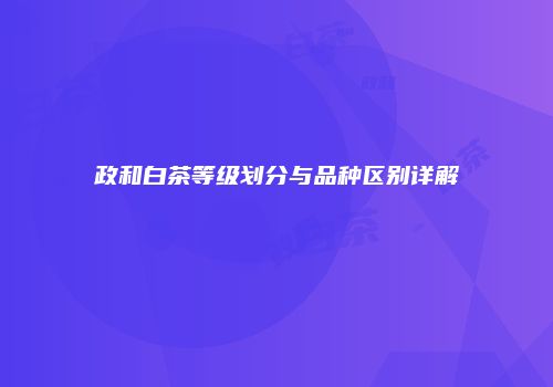 政和白茶等级划分与品种区别详解