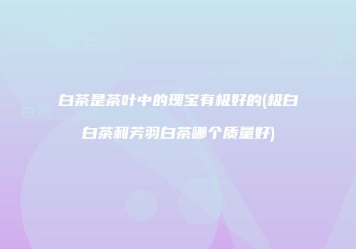 白茶是茶叶中的瑰宝有极好的(极白白茶和芳羽白茶哪个质量好)