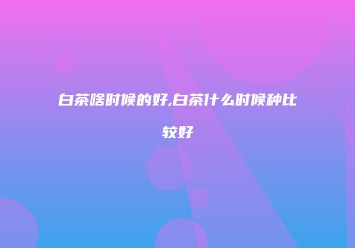 白茶啥时候的好,白茶什么时候种比较好