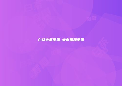 白茶寿眉贡眉_春寿眉和贡眉