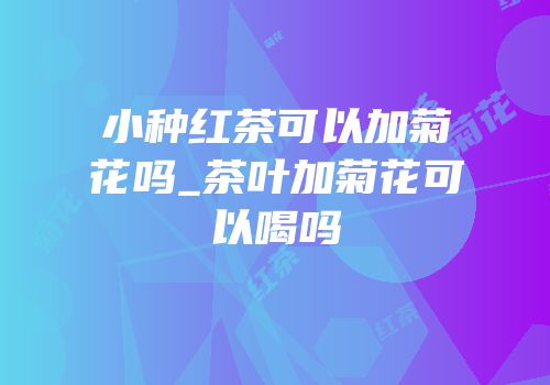 小种红茶可以加菊花吗_茶叶加菊花可以喝吗