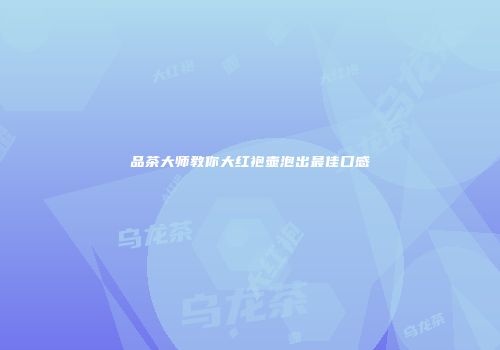 品茶大师教你大红袍壶泡出最佳口感