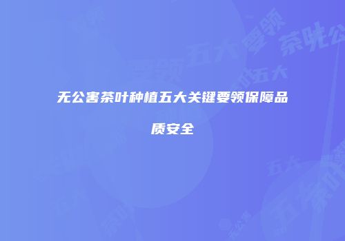 无公害茶叶种植五大关键要领保障品质安全