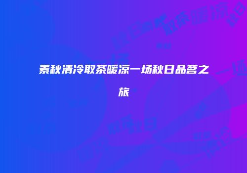 素秋清冷取茶暖凉一场秋日品茗之旅