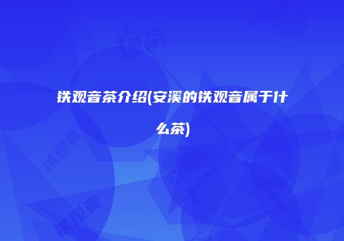 铁观音茶介绍(安溪的铁观音属于什么茶)