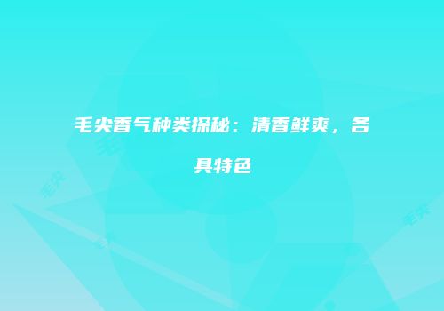 毛尖香气种类探秘：清香鲜爽，各具特色