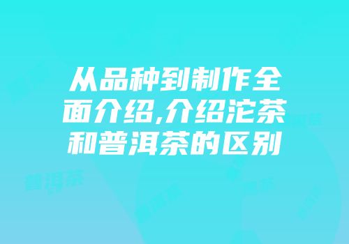 从品种到制作全面介绍,介绍沱茶和普洱茶的区别
