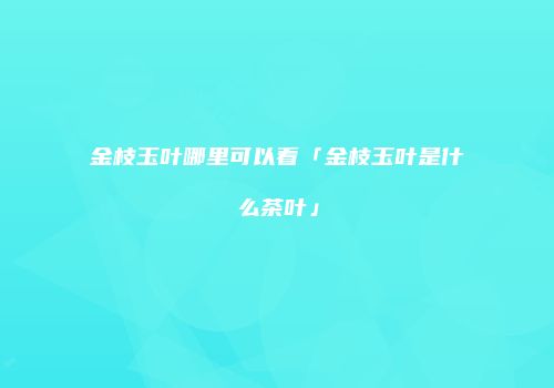 金枝玉叶哪里可以看「金枝玉叶是什么茶叶」