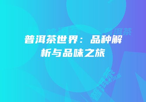 普洱茶世界：品种解析与品味之旅