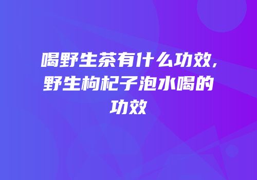 喝野生茶有什么功效,野生枸杞子泡水喝的功效