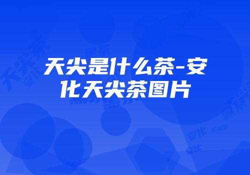 天尖是什么茶-安化天尖茶图片