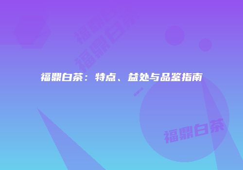 福鼎白茶：特点、益处与品鉴指南