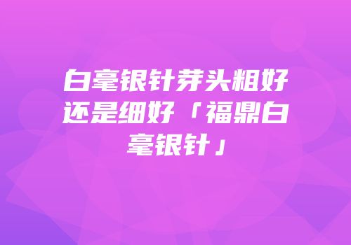 白毫银针芽头粗好还是细好「福鼎白毫银针」