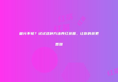 糖分不够？试试这种方法养红茶菌，让你的茶更香甜