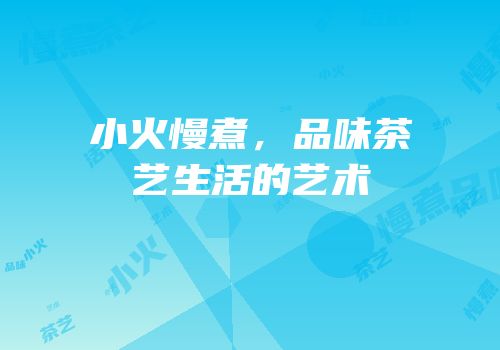 小火慢煮，品味茶艺生活的艺术