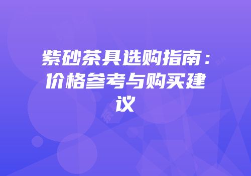 紫砂茶具选购指南：价格参考与购买建议