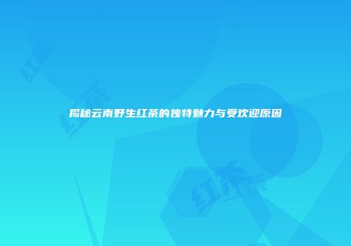 揭秘云南野生红茶的独特魅力与受欢迎原因