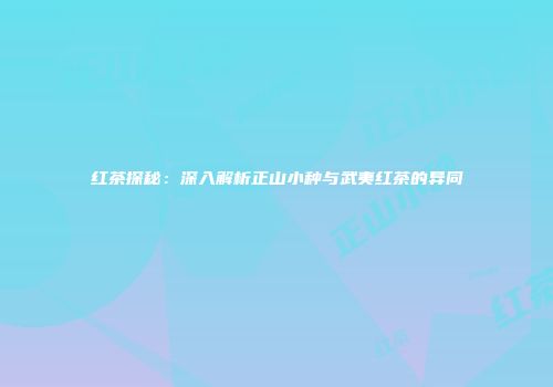 红茶探秘：深入解析正山小种与武夷红茶的异同