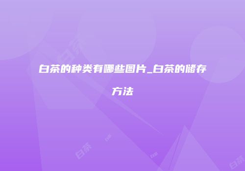 白茶的种类有哪些图片_白茶的储存方法