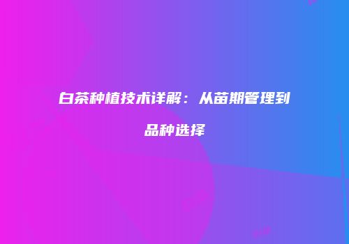 白茶种植技术详解：从苗期管理到品种选择