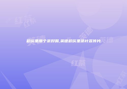 积庆里那个茶好喝,英德积庆里茶叶宣传片