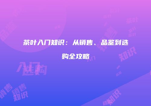茶叶入门知识：从销售、品鉴到选购全攻略