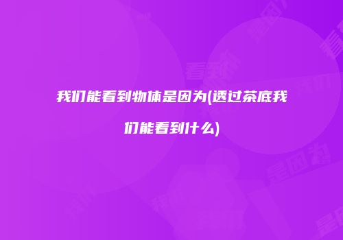 我们能看到物体是因为(透过茶底我们能看到什么)