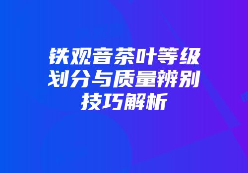 铁观音茶叶等级划分与质量辨别技巧解析