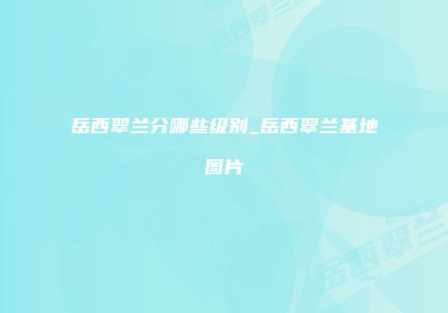 岳西翠兰分哪些级别_岳西翠兰基地图片