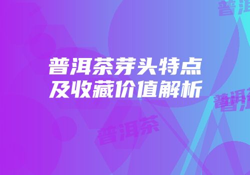 普洱茶芽头特点及收藏价值解析