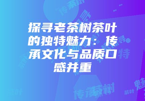 探寻老茶树茶叶的独特魅力：传承文化与品质口感并重